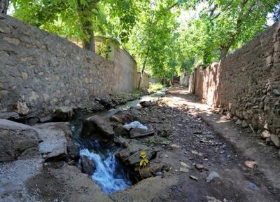سومین جشنواره گردو در شهرستان تفرش برگزار می گردد