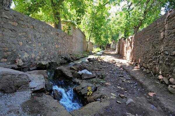 سومین جشنواره گردو در شهرستان تفرش برگزار می شود سومین جشنواره گردو در شهرستان تفرش برگزار می گردد