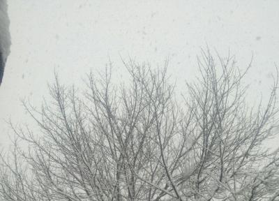 شهروندخبرنگار آذربایجان غربی؛ نمایی از طبیعت زمستانی در روستای بولاماج