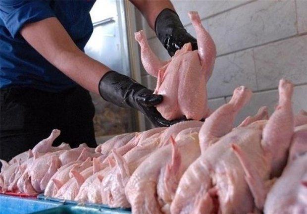 قیمت گوشت و مرغ در استان بوشهر کاهش یابد، تامین میوه شب عید