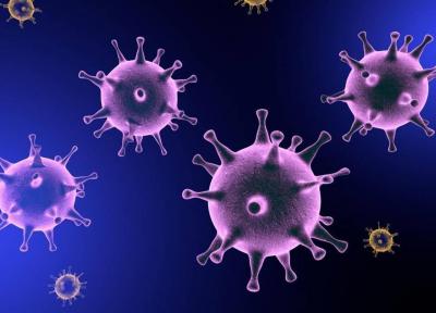 آنالیز شبیه سازی تأثیر رفتارهای انسانی در انتقال ویروس کرونا