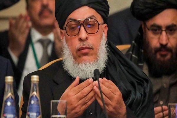 فرانسه و استرالیا حق دخالت در مسایل داخلی افغانستان را ندارند فرانسه و استرالیا حق دخالت در مسایل داخلی افغانستان را ندارند