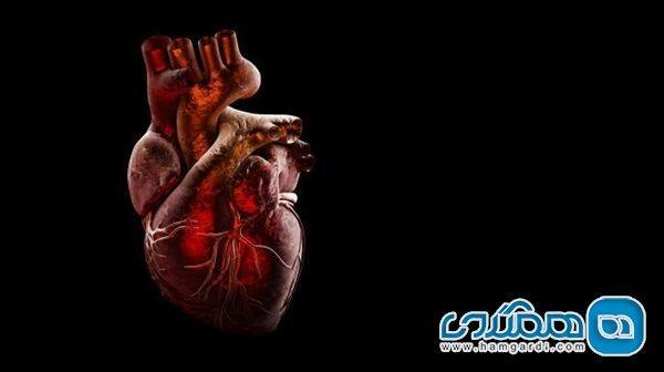 20 درصد بیماران کرونایی به آسیب عضله قلب دچار می شوند