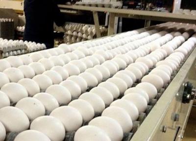 مشخص عوارض جدید برای صادرات تخم مرغ