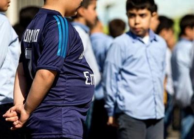 خبرنگاران چاقی دانش آموزان همدان در دوران کرونا رو به افزایش است