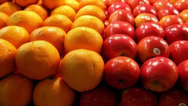 قیمت سیب و پرتقال شب عید هفته آینده اعلام می شود