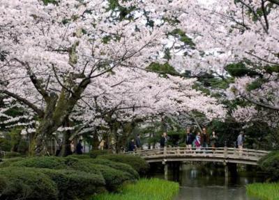 15 مکان زیبا در ژاپن که از وجود آن بی خبرید!