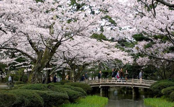 15 مکان زیبا در ژاپن که از وجود آن بی خبرید!